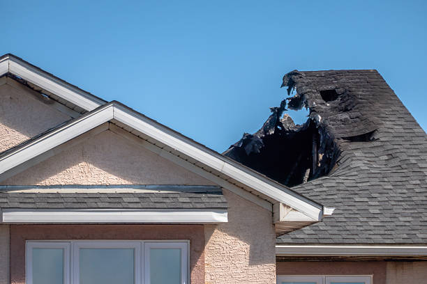 Top rated local Fire Damage Restoration specialists in Woodbine, NJ